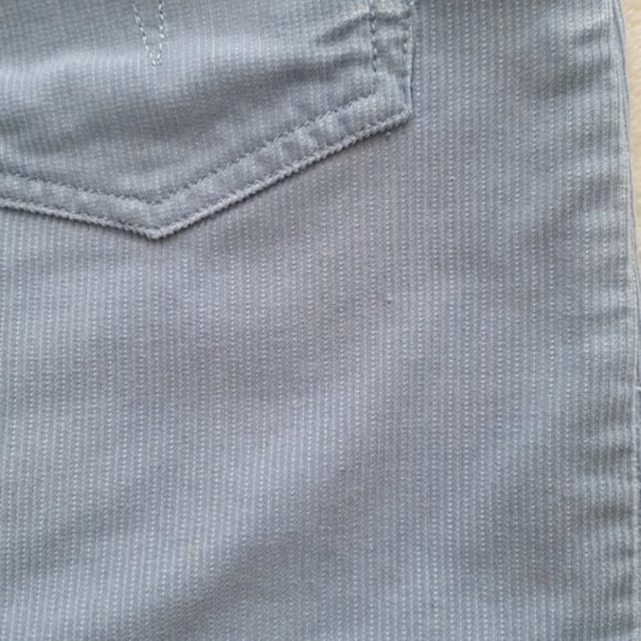 Aeropostale vintage Y2K periwinkle corduroy skirt - Picture 5 of 9